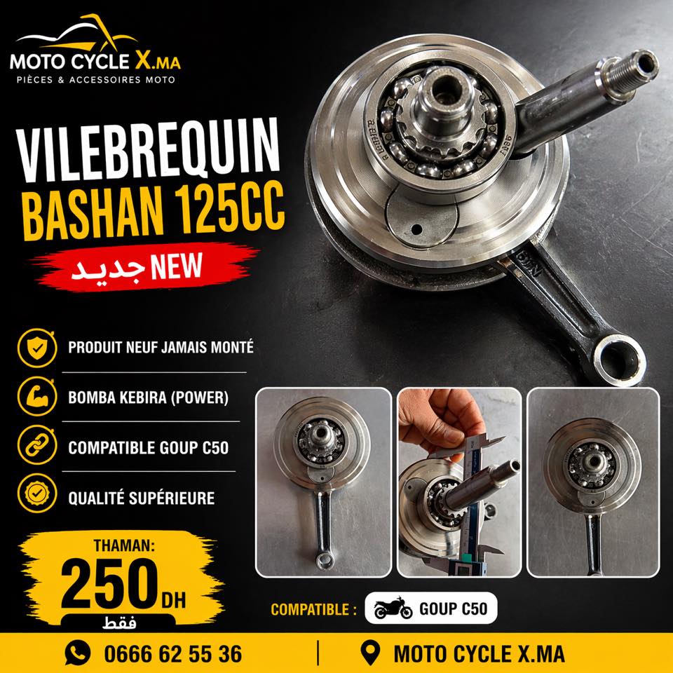 Vilebrequin BASHAN 125CC