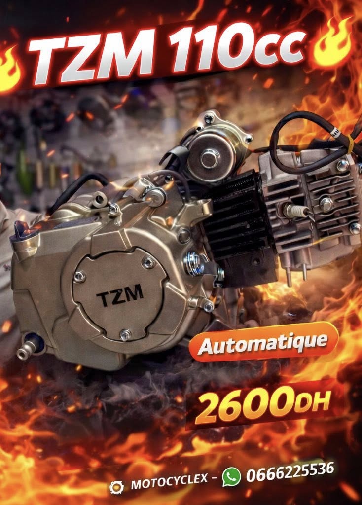 Moteur Complet TZM 110cc Automatique
